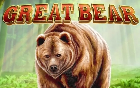 Machine a sous Great Bear