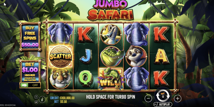 Jumbo Safari