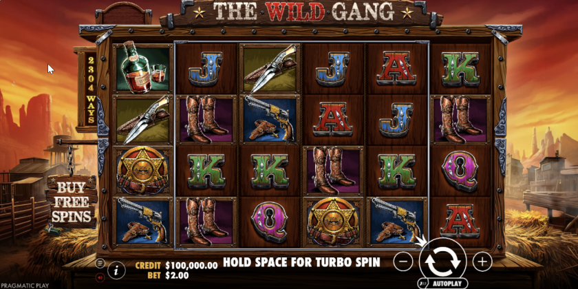 The Wild Gang