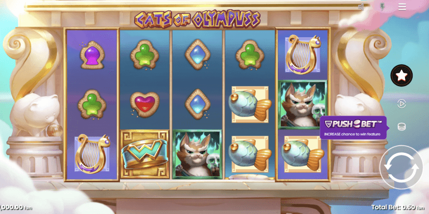 Cats of Olympuss